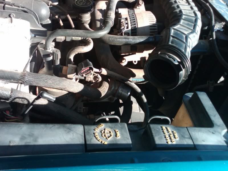 IMG00032-20091107-1136.jpg