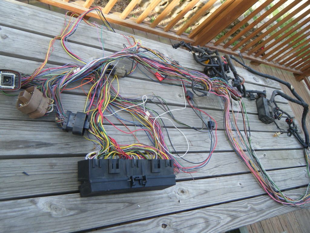 DSCF5609.jpg