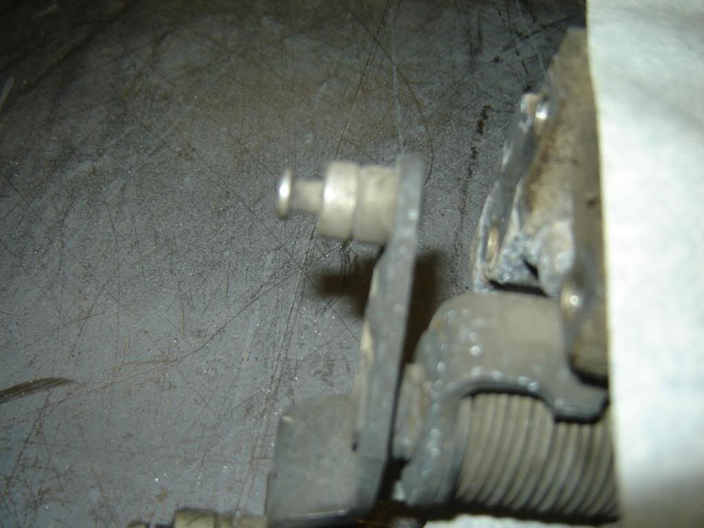 DSC01059.jpg