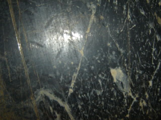 DSC01378.jpg