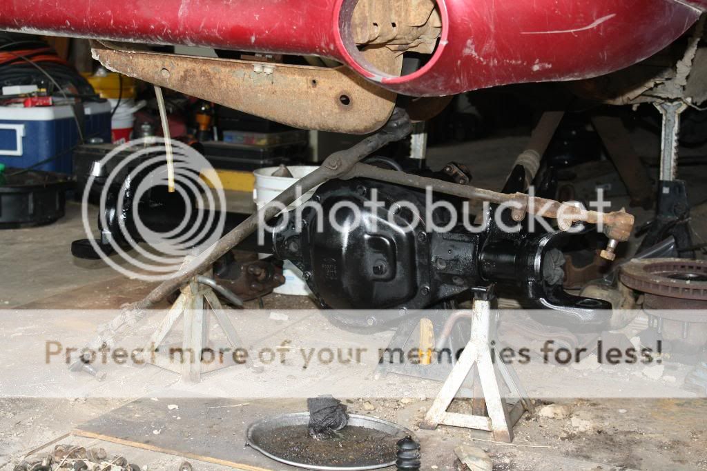 IMG_5372.jpg