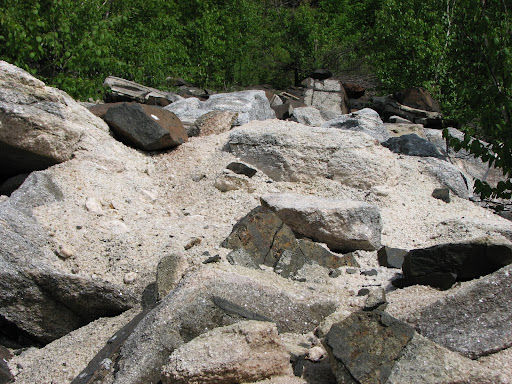 IMG_3981.jpg