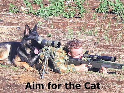 DogAndSoldierLookingDownGunsAim.jpg