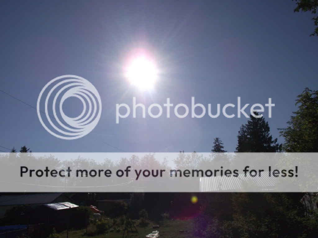 sun001.jpg