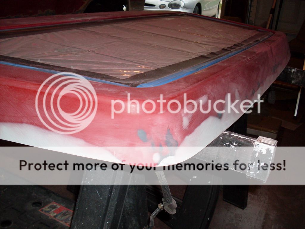 SDC12526.jpg