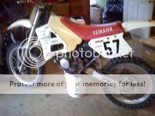 yz.jpg