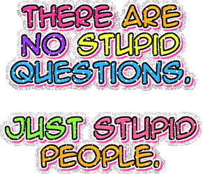 Funny_Quotes_Funny_Quotes_stupid.gif