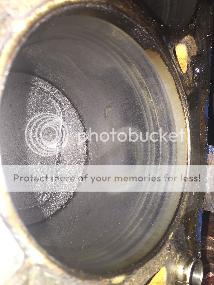 Blackwidow reborn Blackwidow reborn