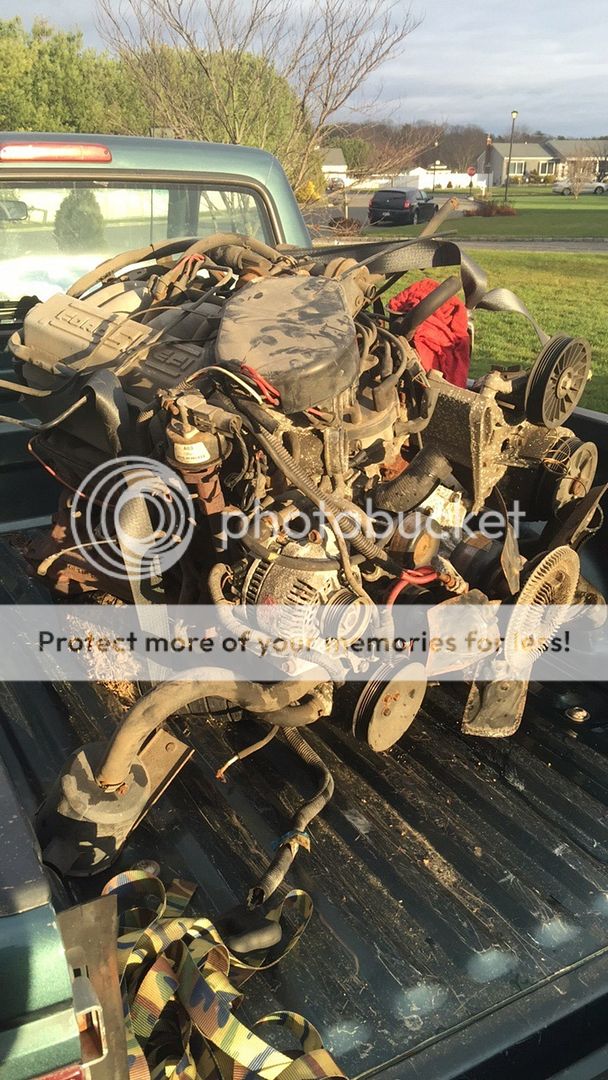 Blackwidow reborn Blackwidow reborn