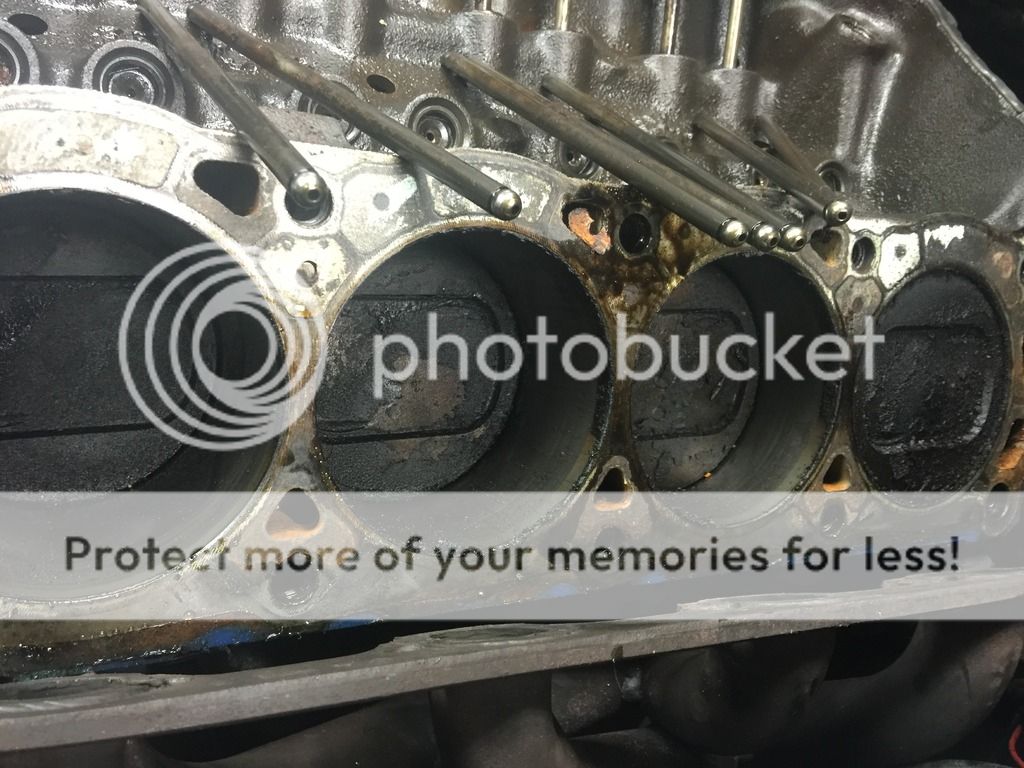 Blackwidow reborn Blackwidow reborn