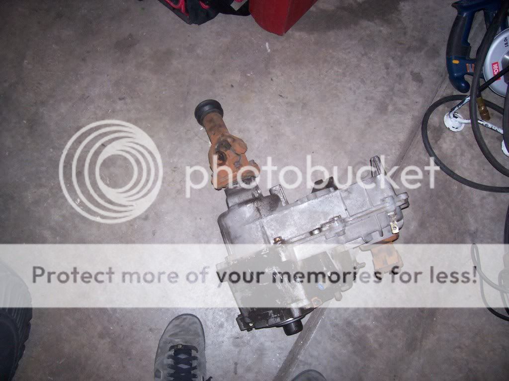 102_35961.jpg