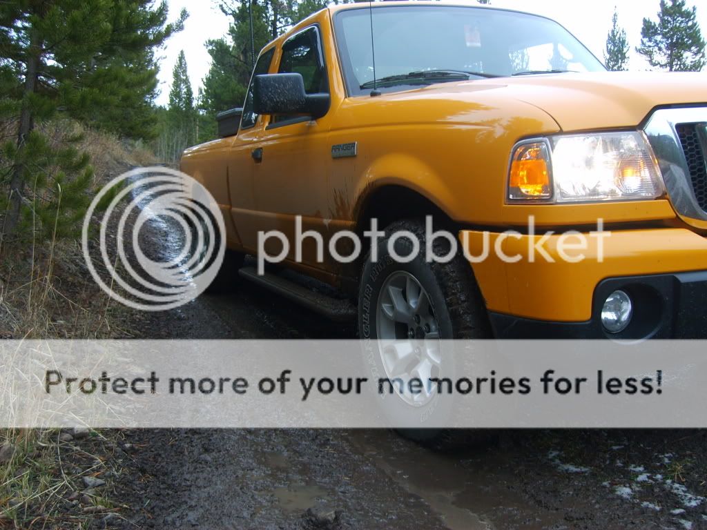S5001059.jpg