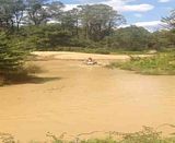 Project Little Green Turd Project Little Green Turd