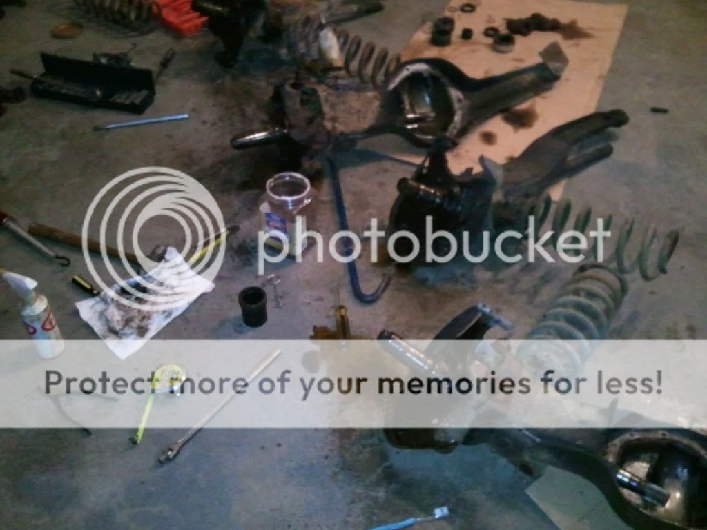 2011-01-25194409.jpg