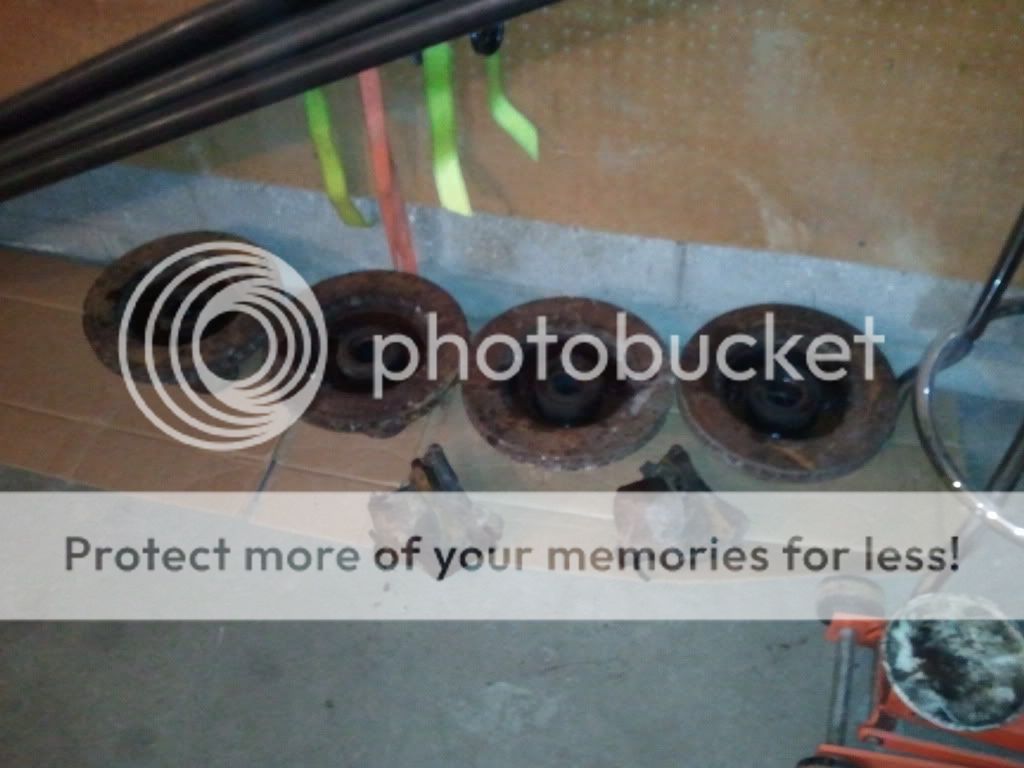 2011-01-25194415.jpg
