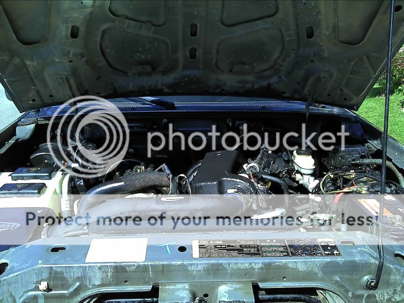 2011-04-10151352.jpg
