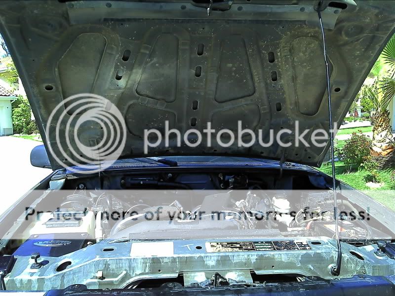 2011-04-10151426.jpg