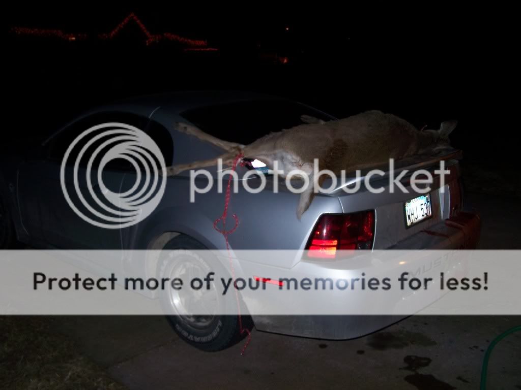 hunting010.jpg