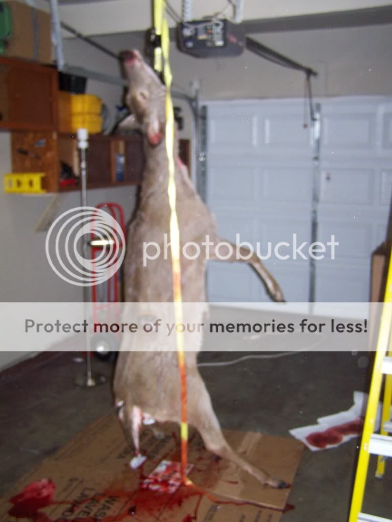hunting016.jpg