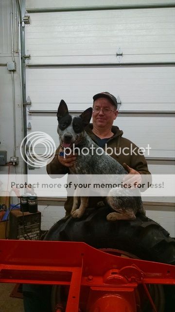 IMG_20151217_212939730_zpsk1qdes95.jpg