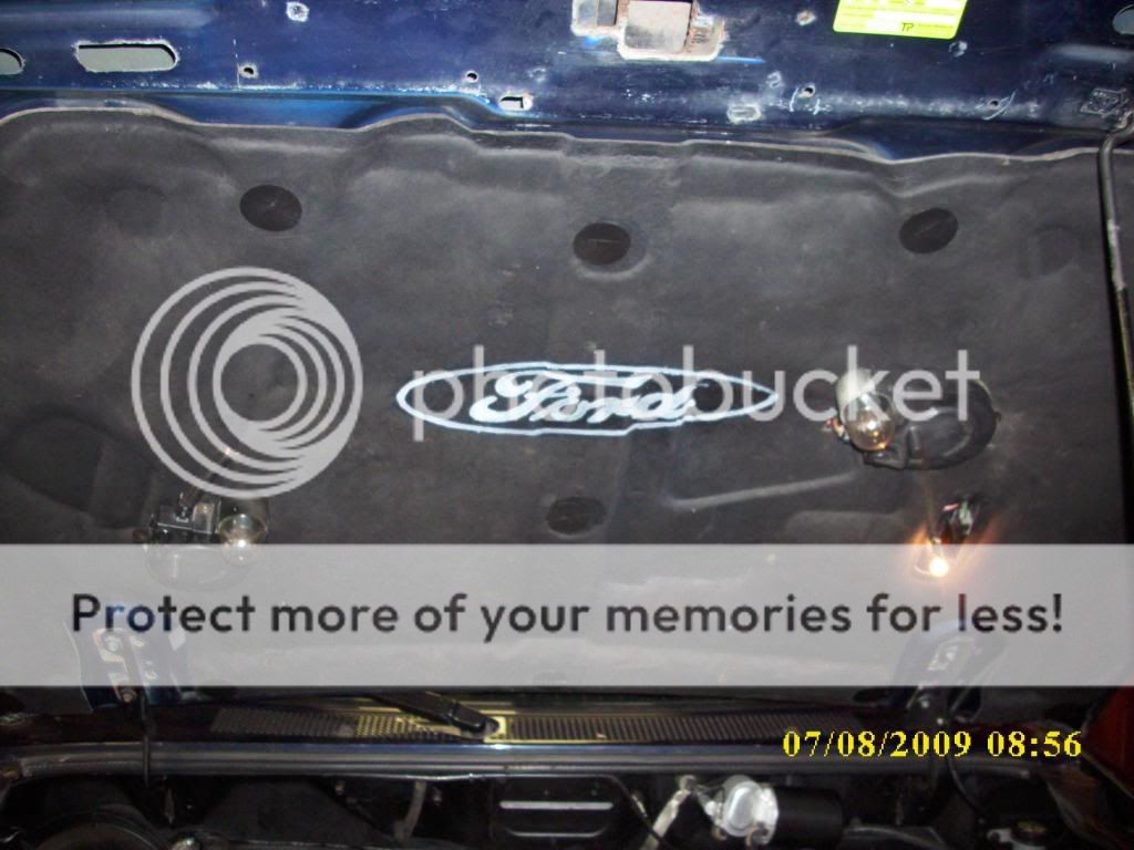 DSCI0149.jpg