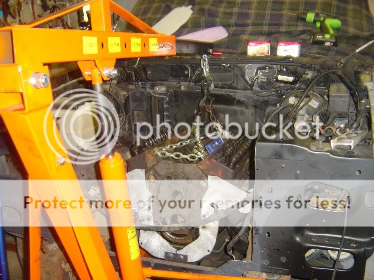 editedBackfromFrameShop750pix4-1.jpg
