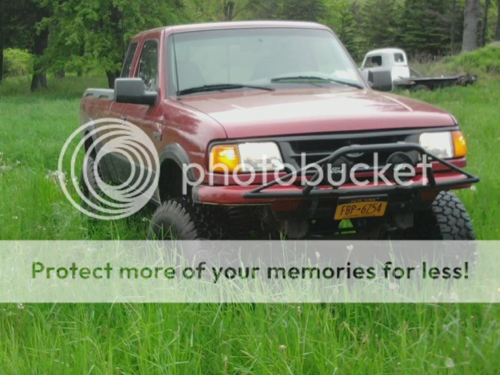 grass.jpg
