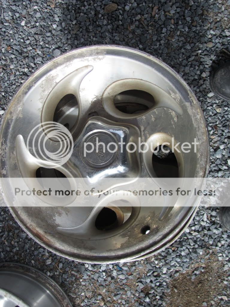 IMG_0201-Copy2.jpg