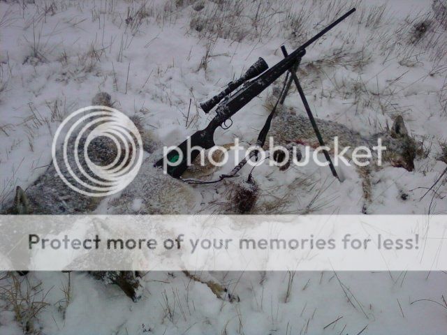 172602_1512329379300_2023205_o.jpg~original