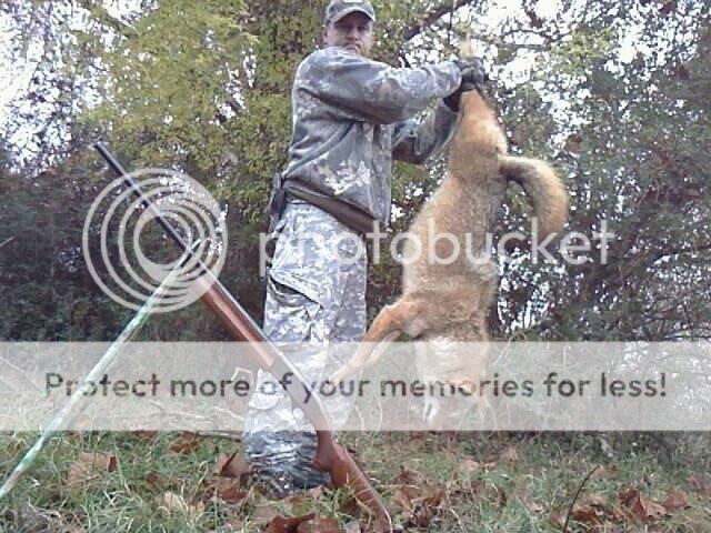 76322_1425688773339_6812548_n.jpg~original