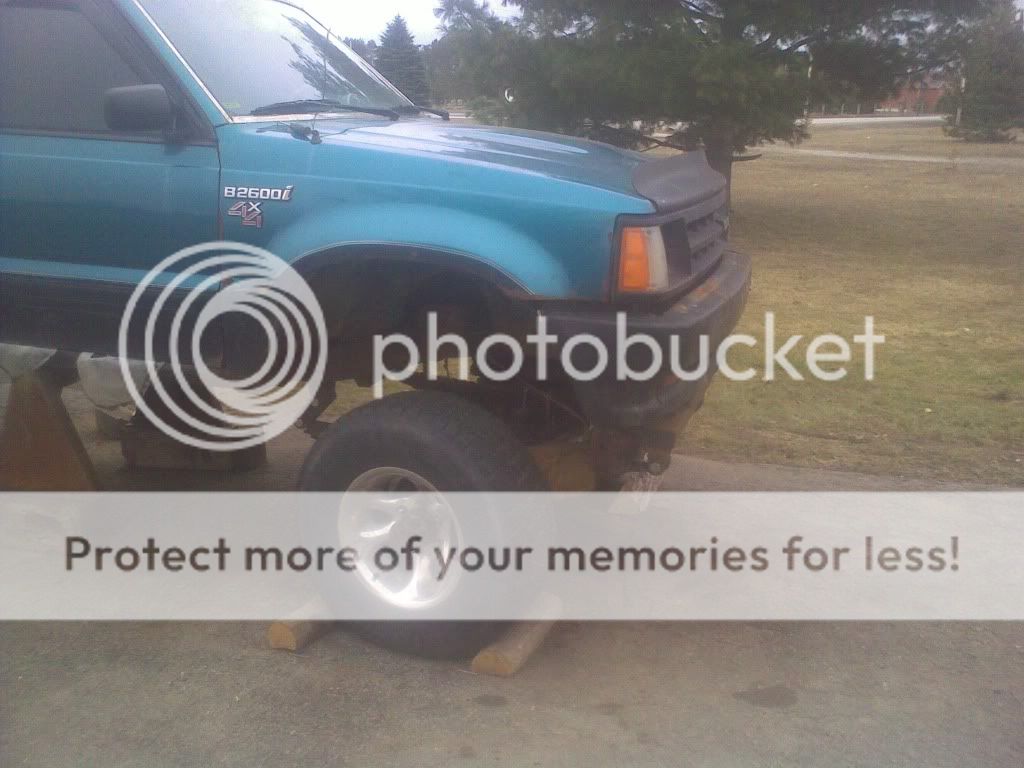 03202010255.jpg