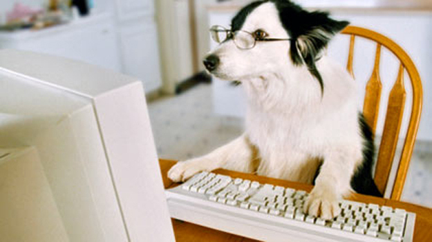 computer_dog.jpg