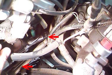 Connect to the Internet if you can't see this image.