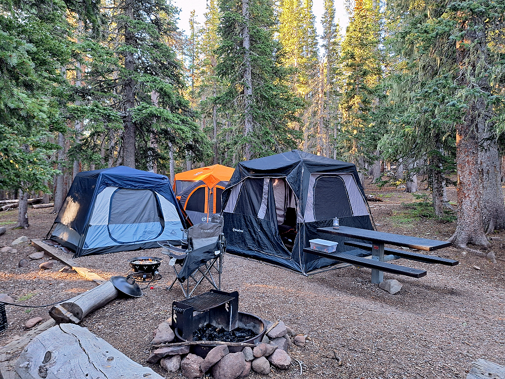 Ford Ranger Overlanding Colorado Trip - Cordova Pass Campground