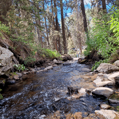 A view down the creek on Owl Creek Pass