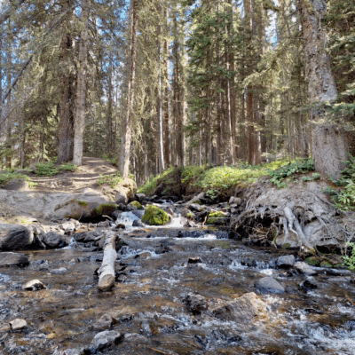 A view up the creek on Owl Creek Pass.