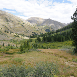 Animas Forks Ghost Town - Colorado