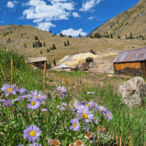 Animas Forks Ghost Town - Colorado
