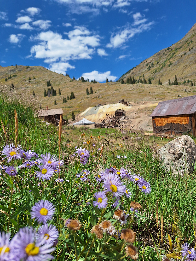 Animas Forks Ghost Town - Colorado
