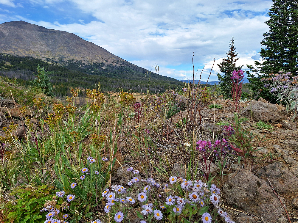 Overlanding Marshall Pass Colorado in a Ford Ranger