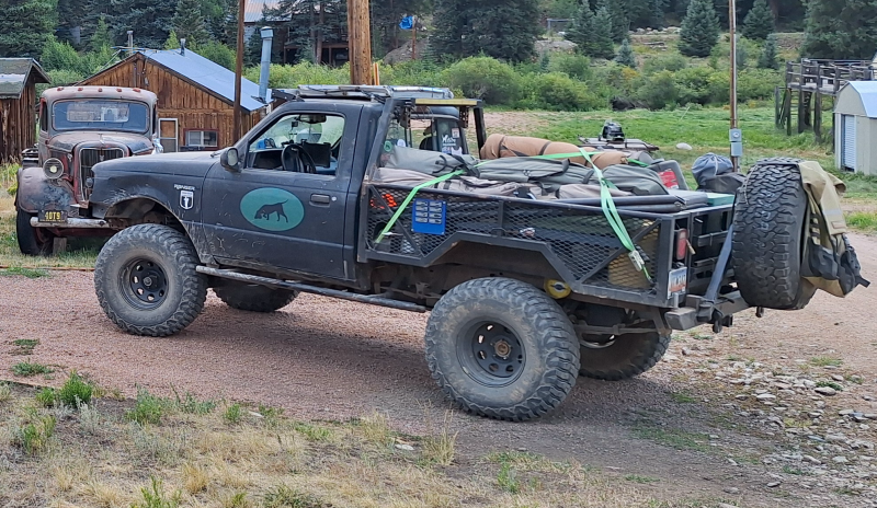 Curious Hound Ford Ranger