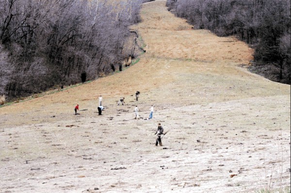 planting trees